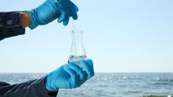 Blog: From Tap to Table: Better Water for Cooking & Health #2