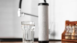 Blog: Inland Empire Whole-House Water Filters #2