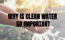Blog: Why Is Clean Water So Important #1
