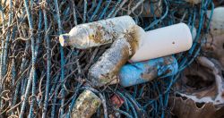 Blog: Why You Should Invest in a Home Water Filtration System #2