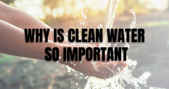 Blog: Why Is Clean Water So Important